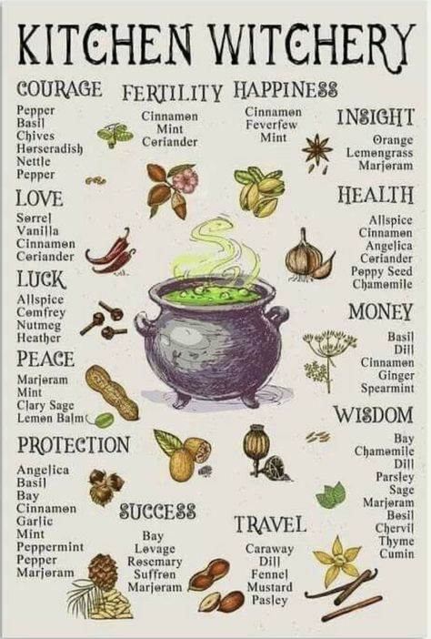 Magia Das Ervas, Kitchen Witchery, Wiccan Witch, Wiccan Spell Book, Witch Spell Book, Herbal Magic, Baby Witch, Modern Witch, Wiccan Spells