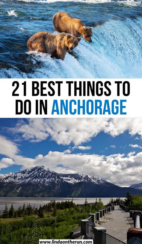 Things To Do Alaska, Anchorage To Fairbanks Roadtrip, Things To Do In Alaska In Summer, Day Trips From Anchorage Alaska, What To Do In Anchorage Alaska, Alaska Northern Lights Travel, Alaska Travel Itinerary, Seward Alaska Things To Do In, Fairbanks Alaska Things To Do In