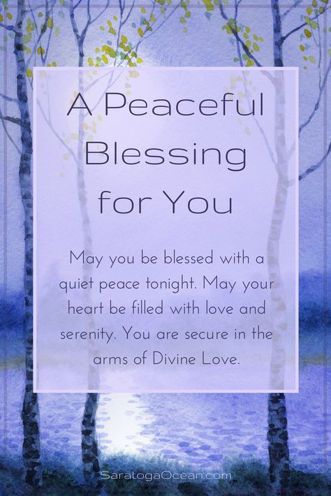 May you have a blessed and peaceful night. Let go of your worries and rest peacefully in love and serenity. <3 Good Night Prayer Quotes, Evening Quotes, Peaceful Night, Good Night Flowers, Good Night Prayer, Good Night Blessings, Night Prayer, Good Night Greetings, Blessed Quotes