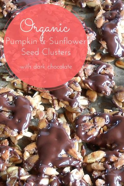 Chocolate Covered Sunflower Seeds, Sunflower Seed Recipes Snacks, Seed Clusters, Sunflower Seed Recipes, Organic Vegan Recipes, Keto Crackers, Chocolate Clusters, Coconut Oil Chocolate, Spa Food