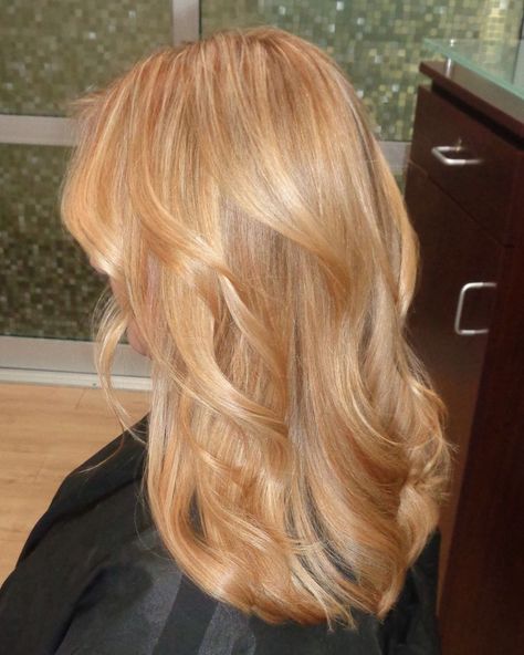 Light golden blonde/strawberry blonde. . . . #nicolesaaavedracolorist #mastercolorist #hair #haircolor #joico #hairgoals #hairlife… | Instagram Copper Blonde Hair, Light Strawberry Blonde, Warm Blonde Hair, Beige Blonde Hair, Strawberry Blonde Highlights, Strawberry Blonde Hair Color, Strawberry Hair, Vacation Hairstyles, Hairstyles 2024