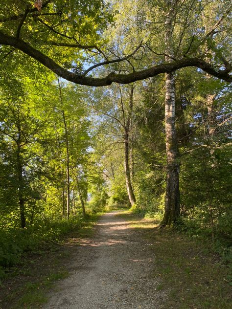 Nature, Out In Nature Aesthetic, Outdoor Aesthetic Walk, Outdoor Walking Aesthetic, Walk In The Woods Aesthetic, Forest Walks Aesthetic, Walking Pics Aesthetic, Walk In Forest Aesthetic, Outdoor Exercise Aesthetic