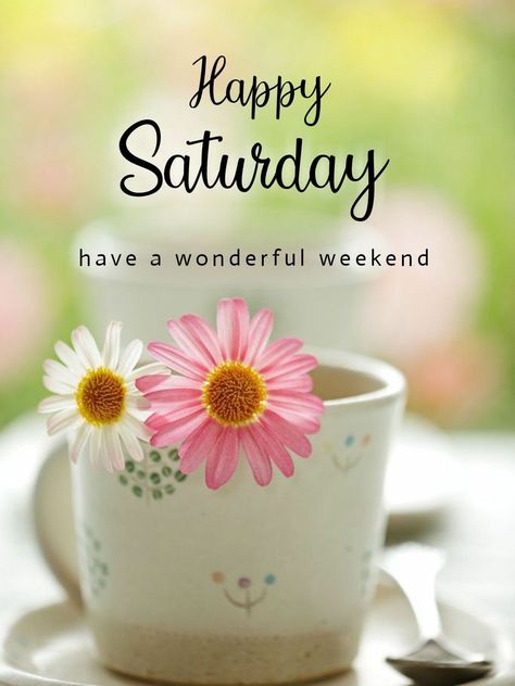 Happy Saturday Pictures, Saturday Morning Quotes, Happy Saturday Quotes, Happy Saturday Images, Happy Saturday Morning, Saturday Greetings, Saturday Images, Good Morning Happy Saturday, Saturday Quotes