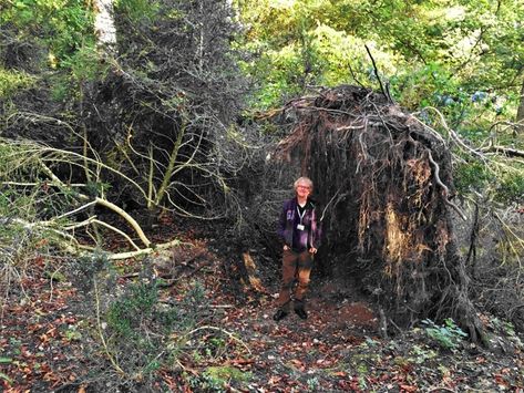 Archaeology Dig, Ancient Places, Terracotta Warriors, Fallen Tree, Oldest Human, Archaeology News, Hunter Gatherer, Archaeological Discoveries, Ancient Forest