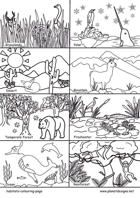 A free colouring page of 8 main Habitats of earth including: Grasslands, Polar, Desert, Mountain, Temperate Forest, Freshwater, Ocean & Rainforest. Perfect for World Habitat Day, habitat conservation & environmental studies. Designed by planetdesigns.net Montessori, Habitat Book, Animal Habitats Preschool, World Habitat Day, Temperate Forest, Habitat Activities, Color Worksheet, Habitats Projects, Ocean Habitat