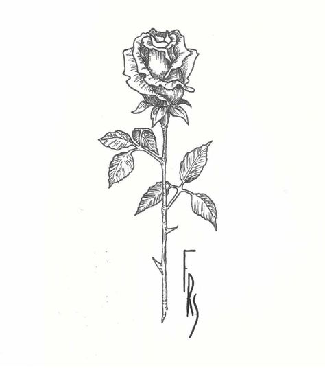 Rose tattoo art idea Thorned Rose Tattoo, Black Rose With Thorns Tattoo, Rose Tattoo With Thorns, Thorns Tattoo, Thorn Tattoo, Rose Tattoos For Men, Kunst Tattoos, Rose Thorns, Art Idea