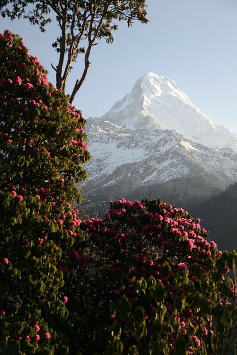 Trekking in Nepal Bungee Jumping, Nepal Wallpaper, Himalayas Nepal, Monte Everest, Nepal Culture, Adventure Tourism, Landlocked Country, Nepal Travel, Travel Tour