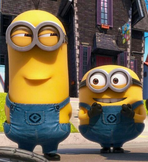 Hahaha. Looks like me and my sister when planning something we haven't talked about but have communicated in our minds. I'm the short one. Lol Minions, Humour, Minions 2, 3 Minions, Minions Images, Minion Mayhem, Despicable Minions, Minions Bob, Minion Gif