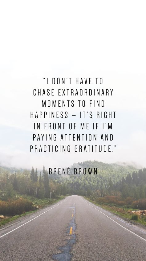 Gratitude And Happiness Quotes, Quotes About Paying Attention, Find Happiness In Yourself Quotes, Happy With What I Have Quotes, Live In Gratitude Quotes, Happiness From Within Quotes, Living In Gratitude Quotes, Brene Brown Gratitude Quotes, Chasing Happiness Quotes