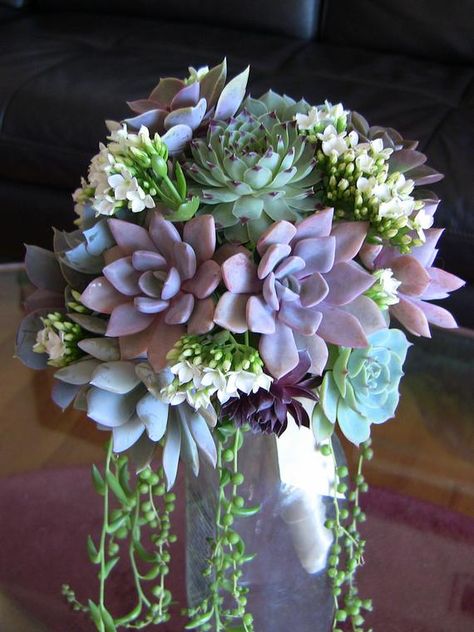 Succulent Bouquet Bridesmaid, Bouquet Succulent, Succulent Wedding Centerpieces, Succulent Bouquet Wedding, Purple Succulents, Succulent Bouquet, Succulent Centerpieces, Colorful Succulents, Succulents Decor