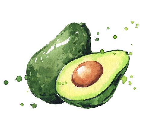 Croquis, Avocado Watercolor, Abstract Watercolor Tutorial, Watercolor Avocado, Avocado Painting, Fruit Sketch, Vegetable Drawing, Fruit Art Drawings, Veggie Art