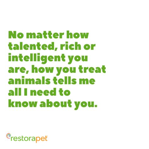 No matter how talented, rich or intelligent you are, how you treat animals tells me all I need to know about you. May Life Treat You The Way You Treat Animals, Veterinary Medicine, Men Quotes, Eco Bag, I Need To Know, Think Of Me, Animal Quotes, Pet Parent, No Matter How