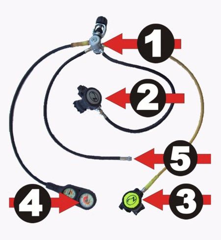 The five basic parts of a scuba diving regulator for use in the open water: 1. first stage 2. primary second stage 3. alternate second stage 4. submersible pressure gauge and gauge console 5. low pressure inflator hose. Swimming Games, Diving Regulator, Scuba Diving Tank, Scuba Diving Pictures, Scuba Equipment, Diving Tank, Diving Wetsuits, Diver Down, Scuba Tank