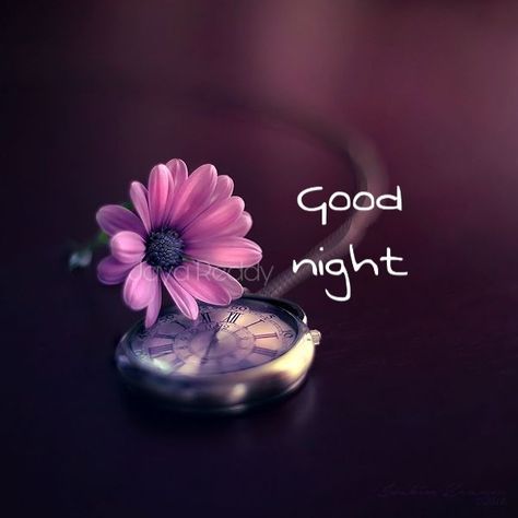 Gud Night Images, Gif Good Night, Gud Night, Romantic Good Night Messages, Good Morning Messages Friends, Good Night Hindi Quotes, Good Night Hindi, Good Night Dear, Good Night Images Hd