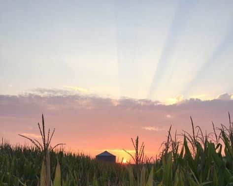 Nora Goes Off Script, Farm Sunrise, Sunrise Farm, Farm Journal, Sustainable Management, Ducks Unlimited, Crop Production, Virtual Reality Technology, Ranch Life