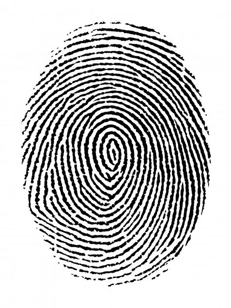 Fingerprint, Premium Vector