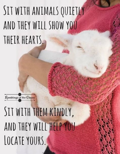 Sit with animals quietly and they will show you their hearts. Sit with them kindly, and they will help you locate yours. Nature, Love For Animals Quotes, Vegan Quotes, Stop Animal Cruelty, Animal Advocacy, Loving Animals, Lost And Found, Animal Rights, Animal Quotes