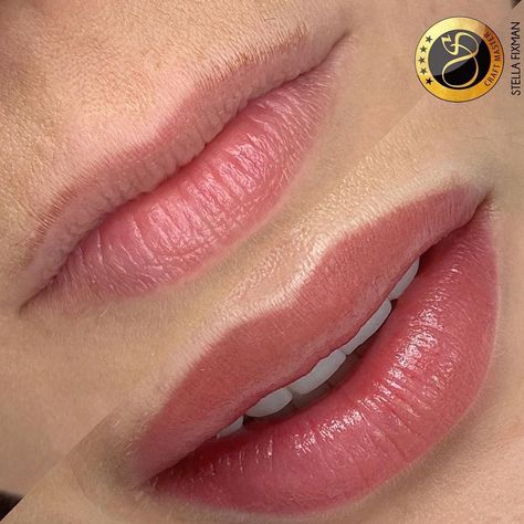 Tatto Lips, Lip Tatto, Lip Color Tattoo, Lip Liner Tattoo, Lip Permanent Makeup, Lip Blushing, Lips Inspiration, Permanente Make-up, Permanent Makeup Eyeliner