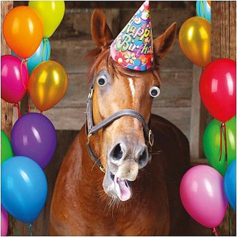 Funny Horse Birthday Card Goggly Moving Eyes, Party Hat & balloons Greeting Card Sweet Birthday Quotes, Happy Birthday Horse, Birthday Horse, Quotes Birthday, Birthday Wishes Messages, Birthday Wishes Funny, Horse Birthday, Happy Birthday Pictures, Happy Birthday Funny