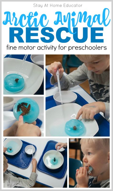 Looking for some science activities for preschoolers? This one fits into your Arctic theme, polar animals theme, or winter themes in preschool. Teach about the states of matter with this science experiment. Work on fine motor skills and emergent writing, too. This arctic theme activity works well at the sensory table, too. Include it in your homeschool preschool activities. Arctic Animal Stem Activities, Science Animal Activities, Arctic Animal Movement Cards Free, Polar Preschool Activities, Arctic Animal Toddler Activities, Arctic And Antarctic Activities, Preschool Animals In Winter, Activity Preschoolers, Arctic Animals Preschool Activities