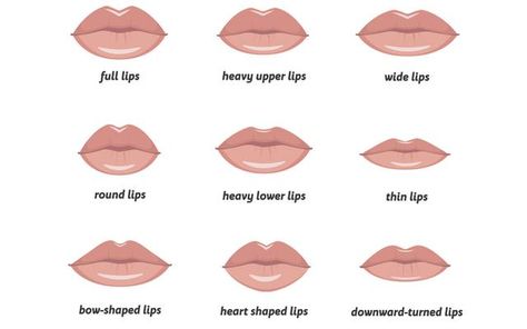 Different Lips Types, Types Of Lips Shape, Eye Shape Chart, Types Of Eye Shapes, Different Types Of Eyes, Nose Types, Heart Shaped Lips, Lip Types, Female Lips