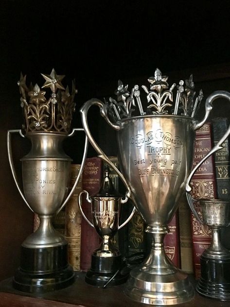 Gold Trophy Aesthetic, Tumblr, Trophy Case Aesthetic, Trophies Aesthetic, Trophy Aesthetic, Winner Aesthetic, Hackett's Quarry, Villains Aesthetic, Vintage Trophies