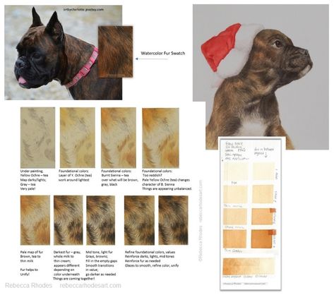 Watercolour Tips, Brindle Dog, Painting Dogs, Watercolor Dogs, Animal Reference, Watercolor Tips, Dog Nose, Dog Eyes, Animal Painting