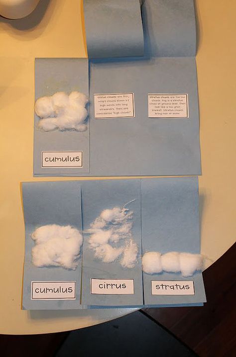 Weather models Learning About Clouds Kindergarten, Weather Science For Kindergarten, Kindergarten Weather Science Experiments, Montessori First Grade Activities, Weather Science Kindergarten, Weather Activities For First Grade, Weather Hands On Activities, Types Of Clouds Worksheet, Weather 1st Grade Science