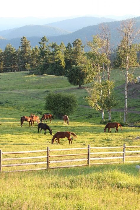 Nature, Horse Farm Ideas Country Life, Calia Italia, Horse Farm Ideas, Farm Photography, Guest Ranch, Country Lifestyle, Dude Ranch, Horse Ranch