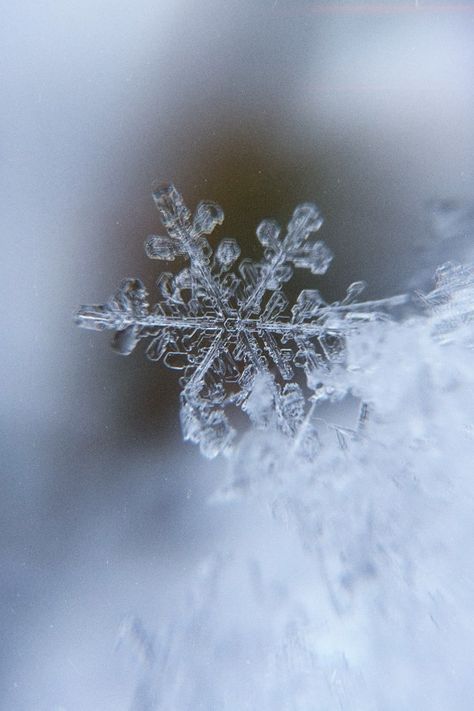 Perfect snowflake Silent Photos Aesthetic, Aesthetic Snowflake Wallpaper, Snowflake Aesthetic Wallpaper, Snowflakes Aesthetic Wallpaper, January Aesthetic Wallpaper, Snowflakes Aesthetic, Noel Aesthetic, Snowflake Aesthetic, Perfect Snowflake