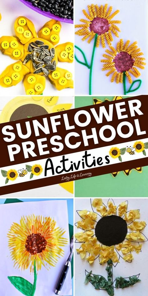 Sunflower Preschool Activities Sunflower Projects For Preschool, Prek Sunflower Activity, Pre K Sunflower Craft, Kindergarten Sunflower Art Lesson, Sun Flower Activities For Preschool, Lesson Themes For Preschool, Sunflower Art For Kindergarten, Sunflower Art Kindergarten, Sunflowers Activities For Preschool