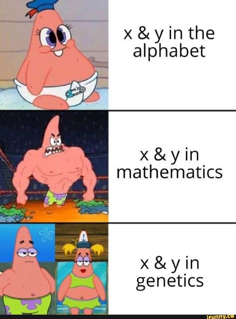 x & y in the alphabet x & y in mathematics x&yin geneﬁcs – popular memes on the site iFunny.co #spongebob #tvshows #dankmemes #featureworthy #ifunny #patrickstar #alphabet #mathematics #genecs #pic Biology Jokes, Physics Jokes, Biology Memes, Biology Humor, Nerd Memes, Physics Memes, Nerdy Jokes, Engineering Memes, Nerdy Humor