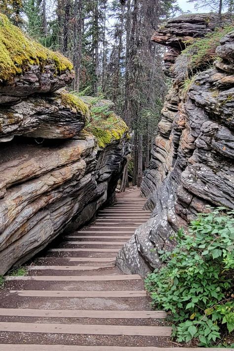 Banff To Jasper Drive - 20 Best Stops On The Way - Forever Karen Jasper National Park Hikes, Jasper Hikes, Banff Vacation, Banff Hiking, Travel Banff, Banff Trip, Jasper National Park Canada, Congaree National Park, Alberta Travel