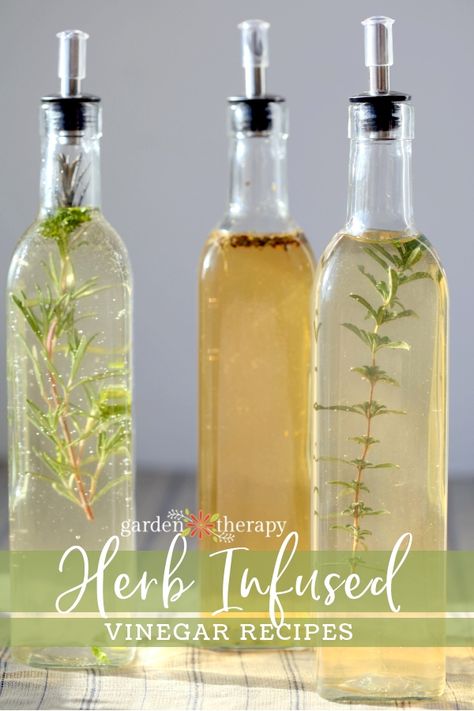 Herb Infused Vinegar Infused Oil Recipes, Growing Herbs In Pots, Herbal Vinegar, Flavored Vinegars, Infused Vinegars, Preserving Herbs, Oak Cabinet, Vinegar Uses, Infused Olive Oil