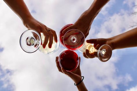 Cheers Reference, Wine With Friends, Friends Cheers, Cheers Wine, Wine Friends, Low Angle Shot, Cheers Photo, Wine Stand, Wine Photography