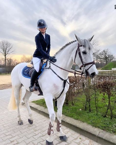 Horsey Life, Horse Riding Aesthetic, Horse Competition, Show Jumping Horses, Horse Riding Outfit, Equestrian Aesthetic, Rasy Koni, Cute Horse Pictures, Horse Aesthetic