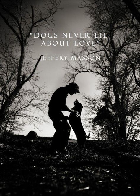 Dogs never lie about love....perfect quote for above dog bed,toys or - http://goo.gl/lfTEoD Quotes Love, Airedale Terrier, Dogs Quotes, Puppy Quotes, Pet Market, Photo Facebook, Dog Quotes Love, Paw Paw, Wallpaper Laptop