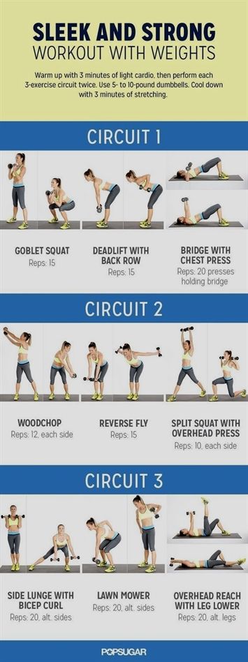 Weight Training For Beginners, Free Weight Workout, Weights Workout For Women, Weight Training Plan, Weight Training Women, Weight Training Workouts, Training Motivation, Circuit Workout, Strength Training Workouts