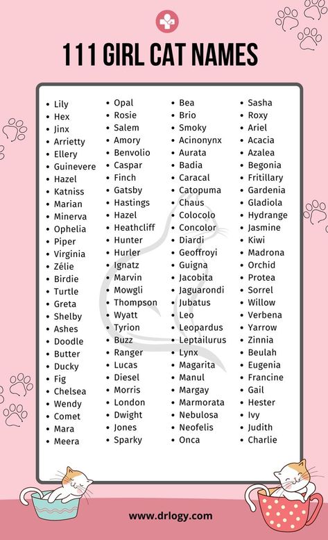 Girl Cat Names With Meaning Female Cat Names Unique, Female Pet Names, Kitten Names Unique, Girl Pet Names, Kitten Names Girl, Female Cat Names, Girl Cat Names, Unique Cat Names, Cute Pet Names