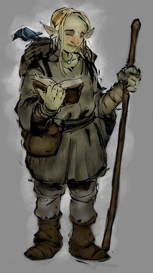 m Halfling Monk staff crow traveler Firbolg Druid Firbolg, Monk Staff, Female Concept Art, Firbolg Druid, Dnd Druid, Fantasy Drawings, Fantasy Races, Dnd Art, Old Lady