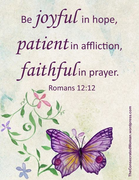 Scripture On Hope, Butterfly Blessings, Butterfly Quilts, Church Bulletin Covers, Bible Quote Wall Art, Be Joyful In Hope, Christian Facebook Cover, Romans 12 12, John 16 33