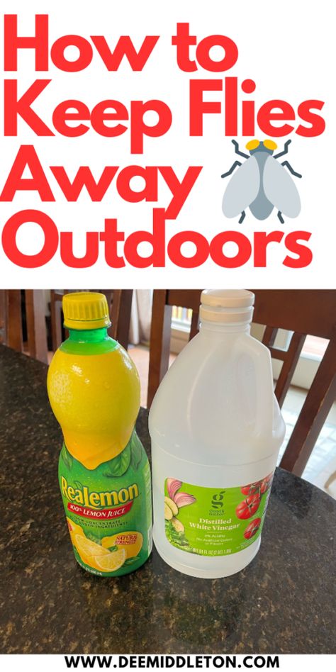 How to Keep Flies Away Outdoors - deemiddleton.com Get Rid Of Flies Outside Diy, Big Repellant Diy, Spray For Flies Outside, Outside Fly Trap Homemade, Natural Fly Spray For Home, Home Made Fly Spray, How To Get Rid Of Flies In Chicken Coop, Homemade Fly Spray For Home, Outdoor Fly Trap Diy