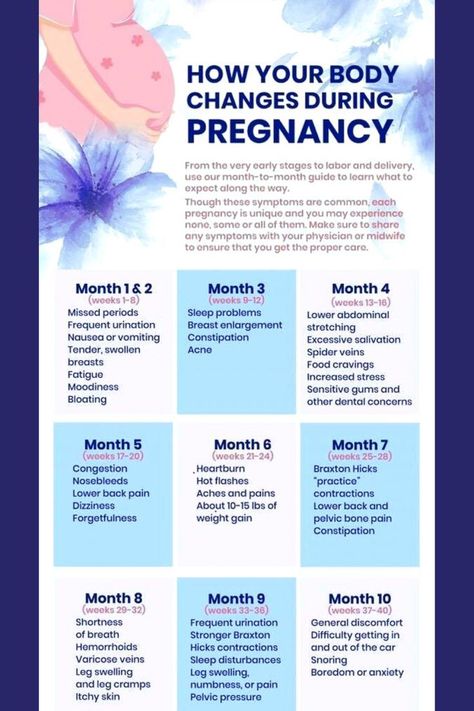 Pregnancy Knowledge Tips, First Signs Of Pregnancy, Pregnancy Body Changes, First Time Pregnancy Tips, Facts About Pregnancy, Body Changes During Pregnancy, Prenatal Development, Pregnancy Chart, Pregnancy Planning