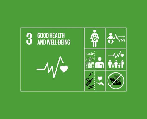Resources | The Global Goals Sdg Goals Illustration, Good Health And Well Being Poster, Sdg Goals, Un Global Goals, Global Goals, Un Sustainable Development Goals, Sustainable City, Group Project, Health Care Services