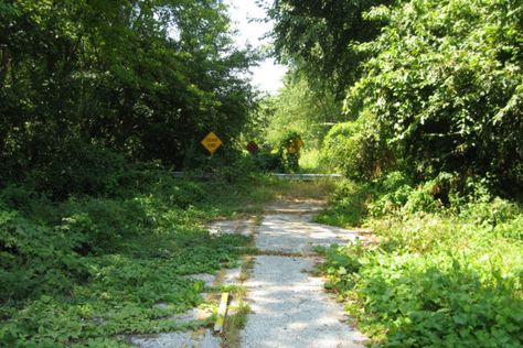 A Compendium of Abandoned Greenhouses Nature, Abandoned Road Aesthetic, Overgrown Apocalypse, Reference Scenery, Abandoned Road, Road Drawing, Farm Town, Truss Bridge, Abandoned Town