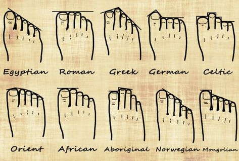 Your Foot Shape and Your Genealogy | Ancestral Findings Useful Life Hacks, Starověký Egypt, Dna Genealogy, Family Tree Genealogy, Ancestry Genealogy, Genealogy Research, Family Genealogy, History Facts, Weird Facts