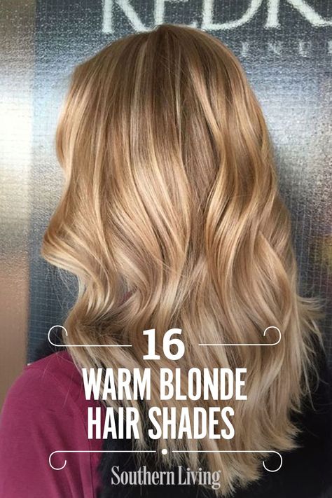 All Over Blonde Hair Color Honey, Blond Tones Chart, Dark Blonde With Golden Highlights, Shade Of Blonde Hair Color, All Over Caramel Hair Color, Blond Shades Of Hair, Medium Warm Blonde Hair, Light Golden Blonde Highlights, Honey Gold Hair Color