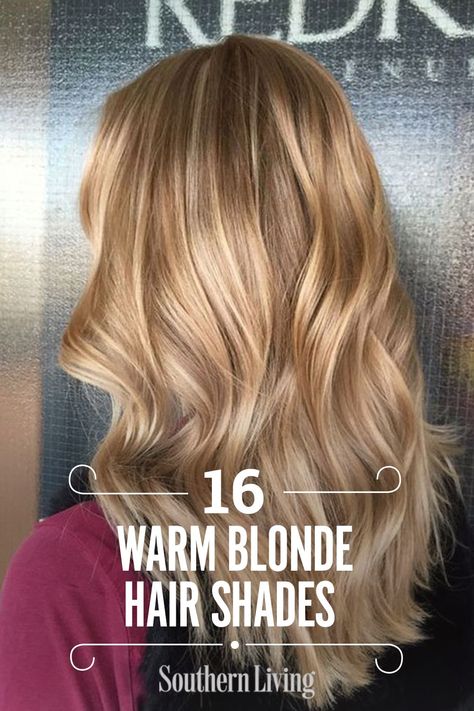 Balayage, Shade Of Blonde Hair Color, Blond Hair For Fall, House Of Color Spring Hair, Blonde Fall Hair Color Ideas, Warm Blonde Hair With Lowlights, Oatmeal Blonde Hair, Warm Hair Color Ideas Blonde, Shades Of Blonde Hair Color Chart