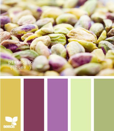 Awesome blog of color scheme ideas! Design Seeds, Color Palette For Home, Pantone 2016, Pistachio Color, Seeds Color, Palette Design, Color Palate, Colour Pallette, Colour Pallete