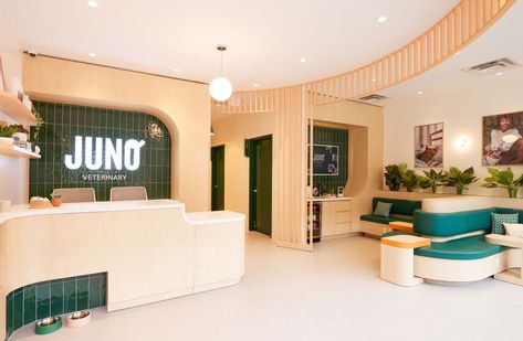 Inside Juno Veterinary: How Toronto’s newest vet clinic is reinventing pet care Dog Shop Interior, Pet Shop Aesthetic, Pet Shop Design Interior, Vet Clinic Design, Veterinary Clinic Design, Modern Reception Area, Dog Daycare Design, Sims Interior, Grooming Salons